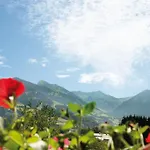 Apartment Haus Schatz Kitzbuhel