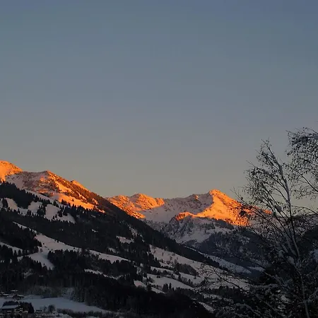 Haus Schatz